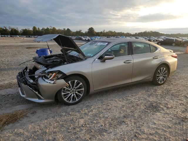 lexus es 300h 2019 58ab21b18ku002299