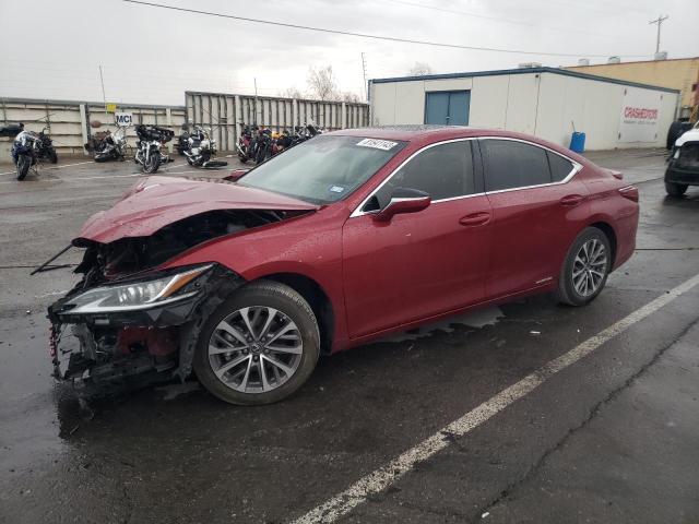 lexus es300 2022 58ada1c15nu022556