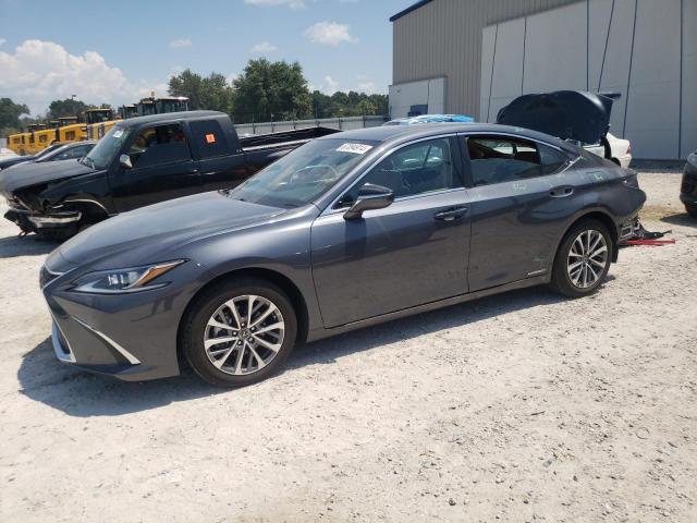 lexus es 300h ba 2022 58ada1c1xnu015232