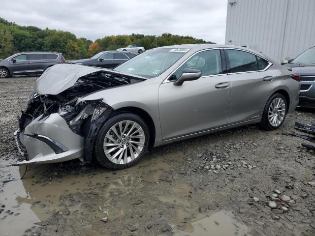 lexus es 300h lu 2020 58ae21b13lu004718