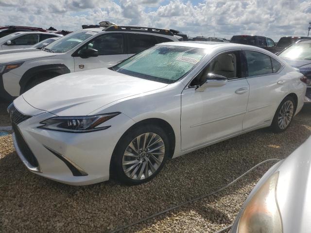 lexus es 300h ba 2022 58aea1c14nu013142