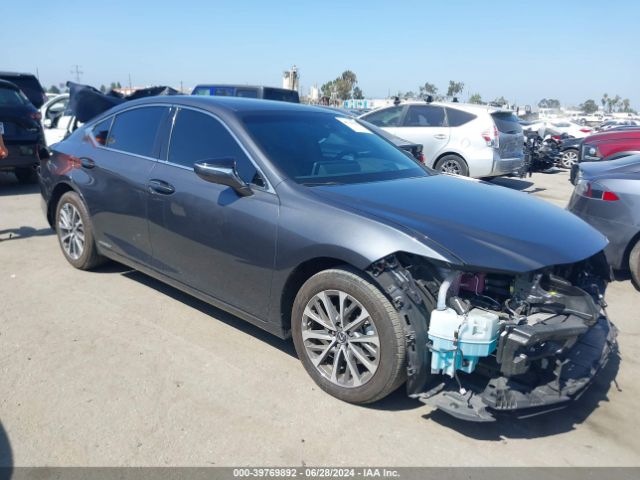 lexus es 300h 2022 58aea1c19nu018952