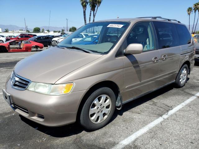 honda odyssey ex 2004 5fnrl18044b128774