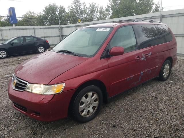 honda odyssey ex 2004 5fnrl18644b037539