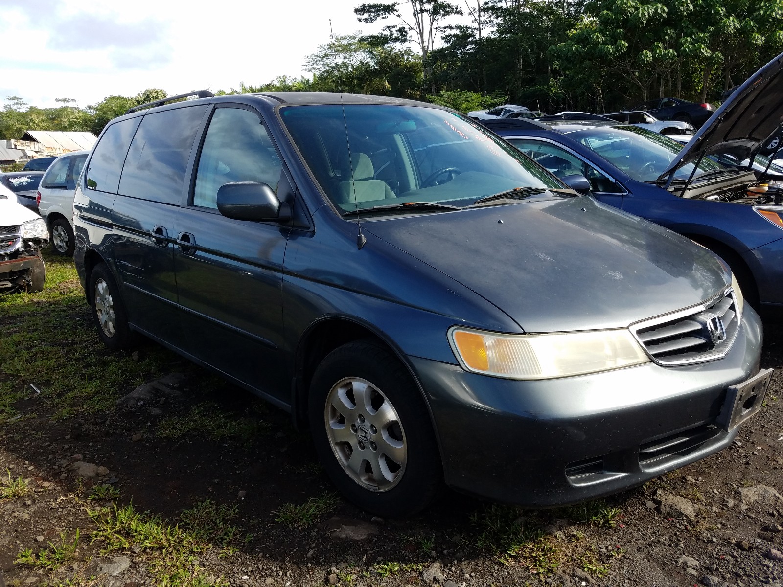 honda odyssey ex 2004 5fnrl18834b109400