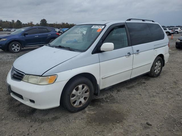 honda odyssey 2004 5fnrl18884b091699