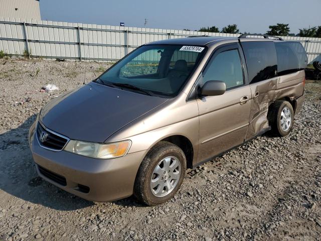 honda odyssey ex 2003 5fnrl18933b033359