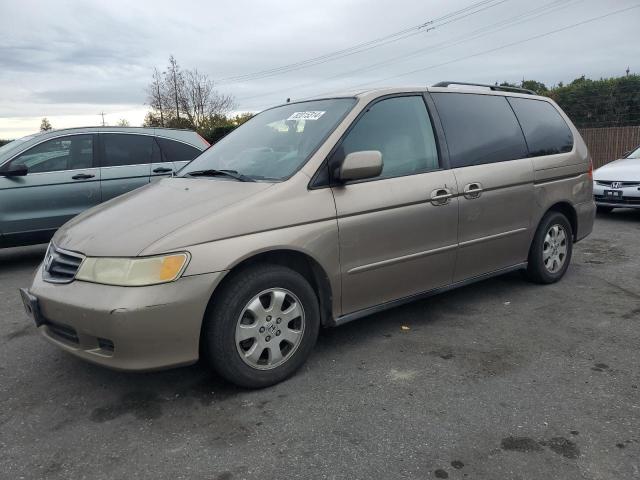 honda odyssey ex 2004 5fnrl18954b031999