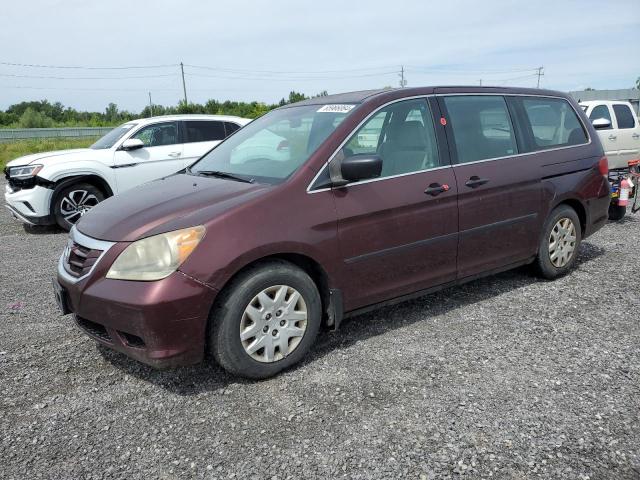 honda odyssey lx 2008 5fnrl38138b502253