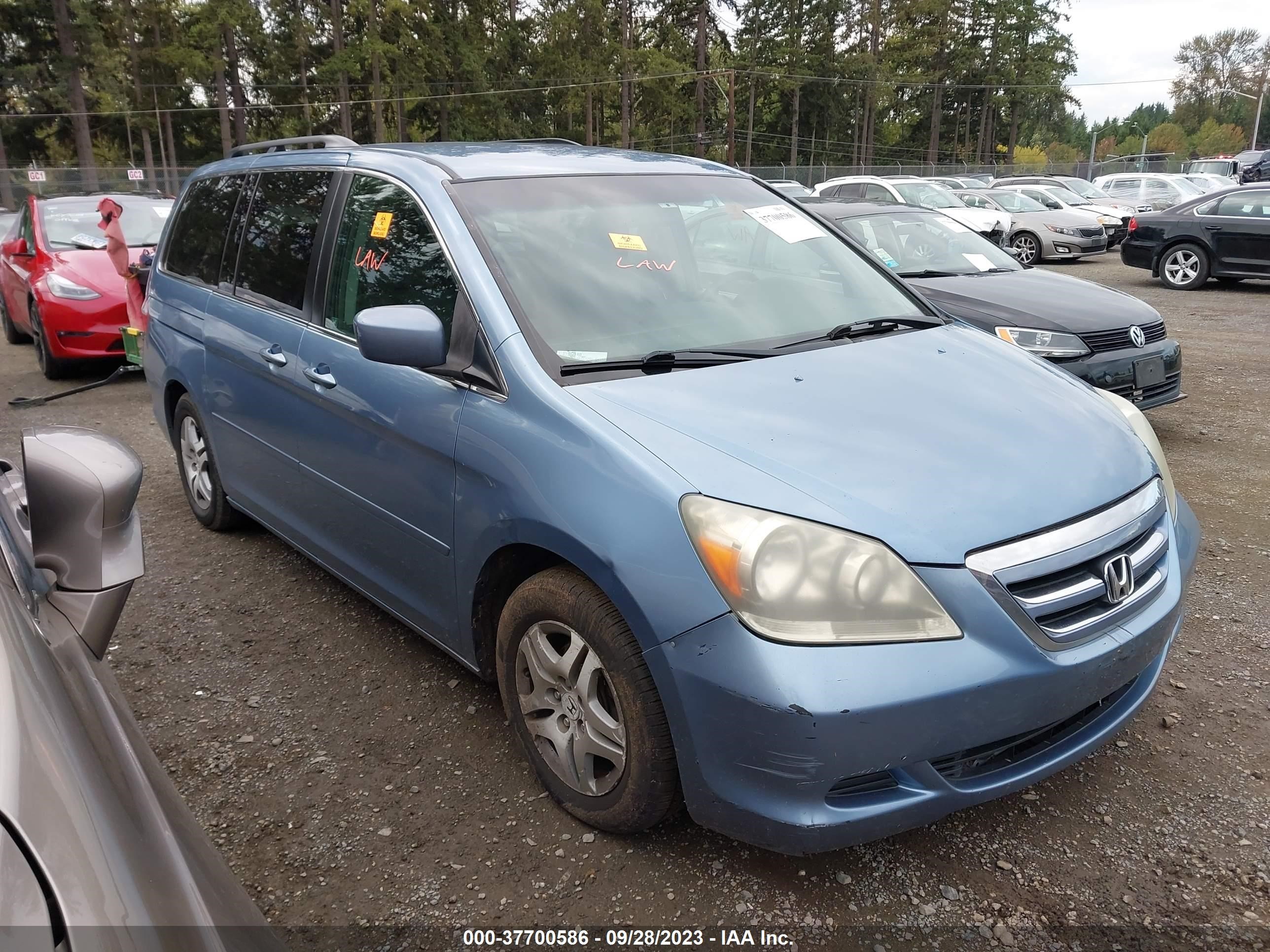 honda odyssey 2005 5fnrl38405b058593