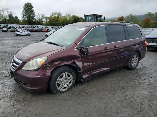 honda odyssey ex 2007 5fnrl38407b071511