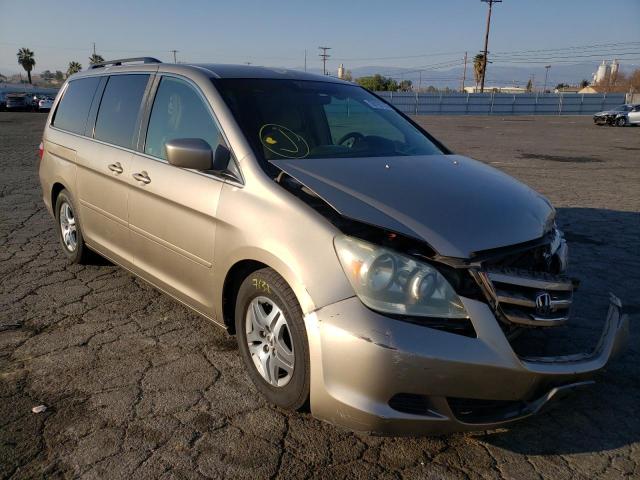 honda odyssey ex 2005 5fnrl38425b010464