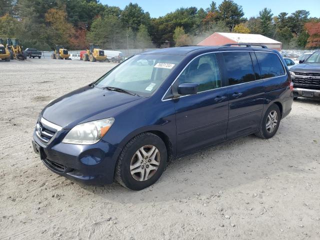 honda odyssey ex 2007 5fnrl38427b013738