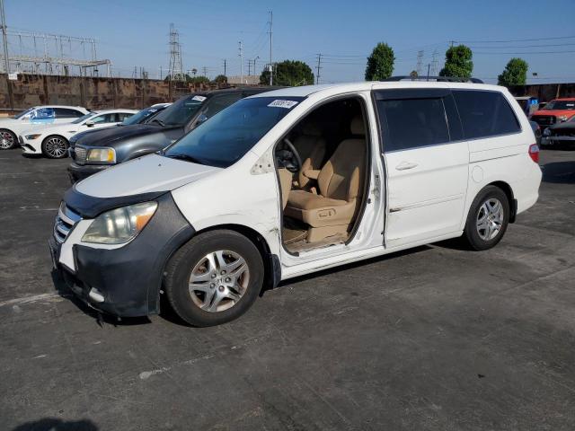 honda odyssey ex 2007 5fnrl38447b036731