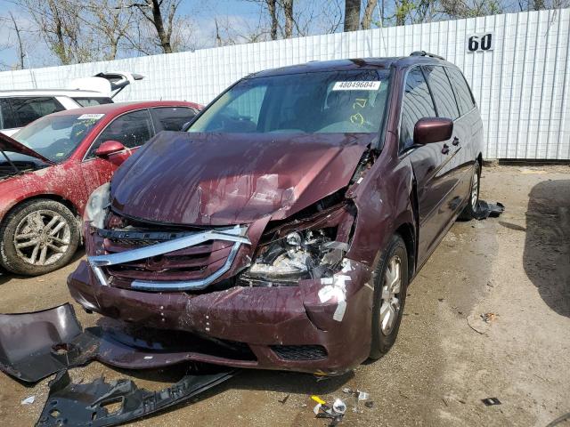 honda odyssey ex 2008 5fnrl38448b024354