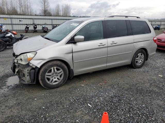 honda odyssey ex 2005 5fnrl38455b026318