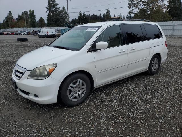 honda odyssey ex 2007 5fnrl38457b069897