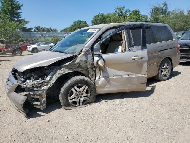 honda odyssey ex 2006 5fnrl38466b455257