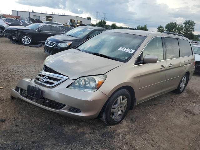 honda odyssey ex 2005 5fnrl38485b424266