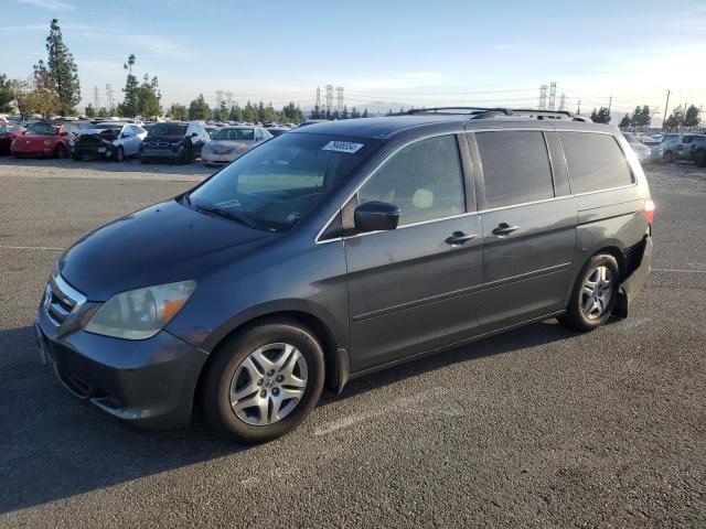 honda odyssey ex 2005 5fnrl38495b030226