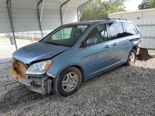 honda odyssey ex 2005 5fnrl38495b063629