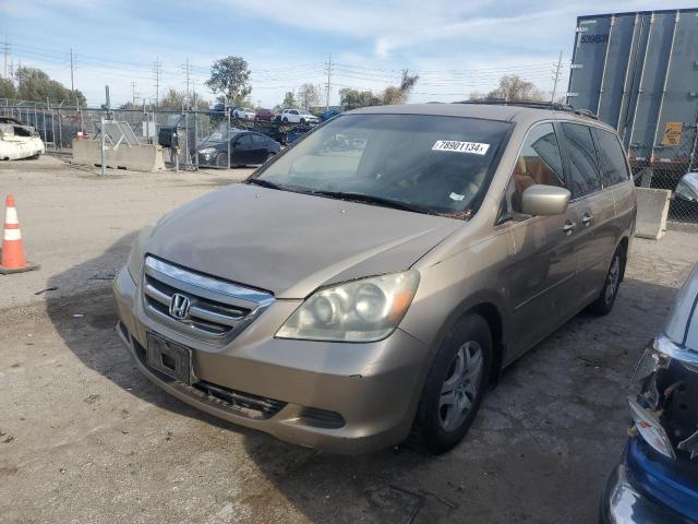 honda odyssey ex 2006 5fnrl38496b416887