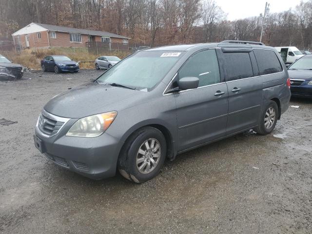 honda odyssey ex 2008 5fnrl384x8b081237