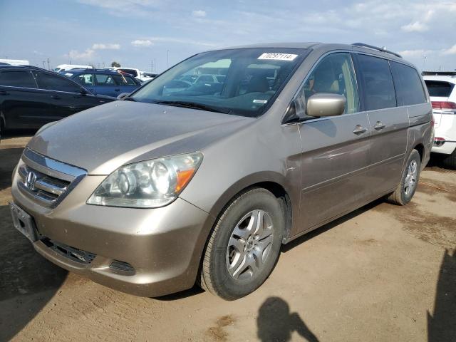 honda odyssey ex 2005 5fnrl38605b412128