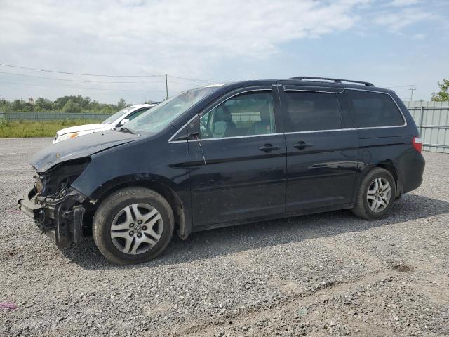 honda odyssey ex 2005 5fnrl38605b510415