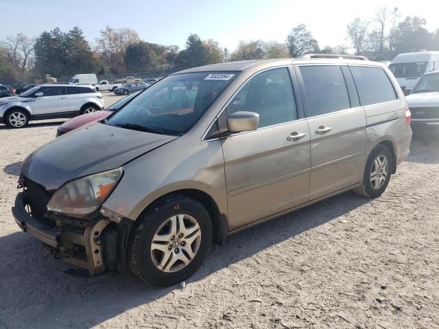 honda odyssey ex 2006 5fnrl38606b412731