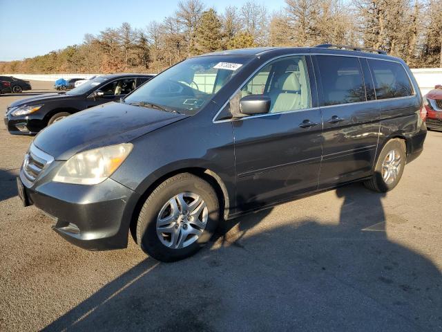 honda odyssey ex 2006 5fnrl38616b415184