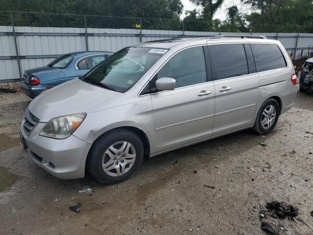 honda odyssey ex 2005 5fnrl38625b420845