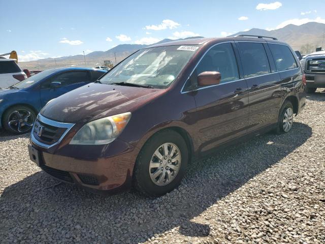 honda odyssey ex 2008 5fnrl38628b405329