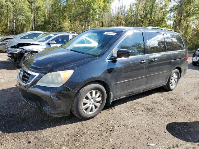 honda odyssey ex 2008 5fnrl38628b501381