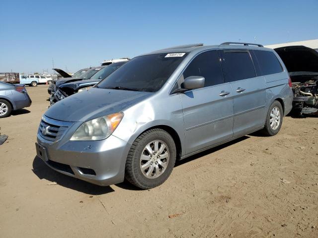 honda odyssey ex 2009 5fnrl38629b034593