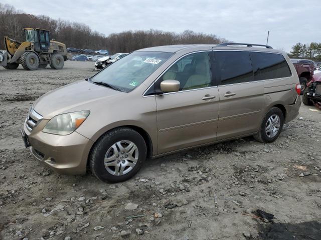 honda odyssey ex 2005 5fnrl38635b408574