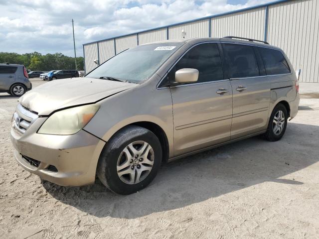 honda odyssey ex 2006 5fnrl38636b407295