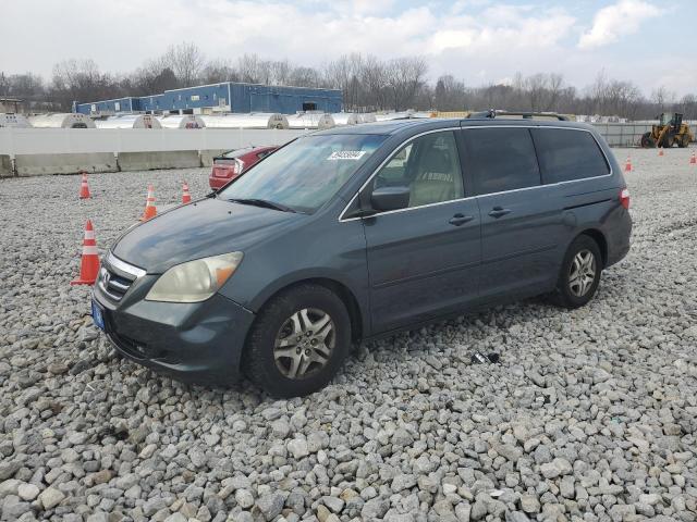 honda odyssey 2006 5fnrl38646b401313