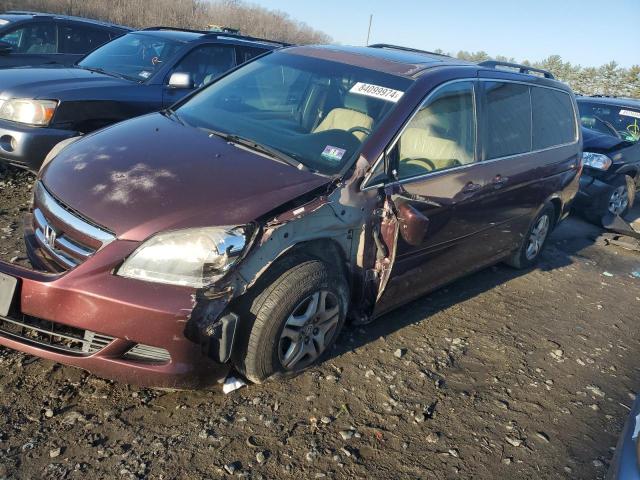 honda odyssey ex 2007 5fnrl38647b451405