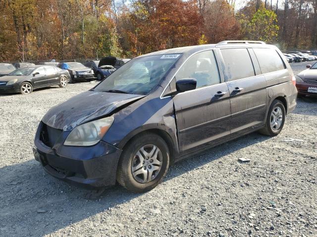 honda odyssey ex 2006 5fnrl38656b014690