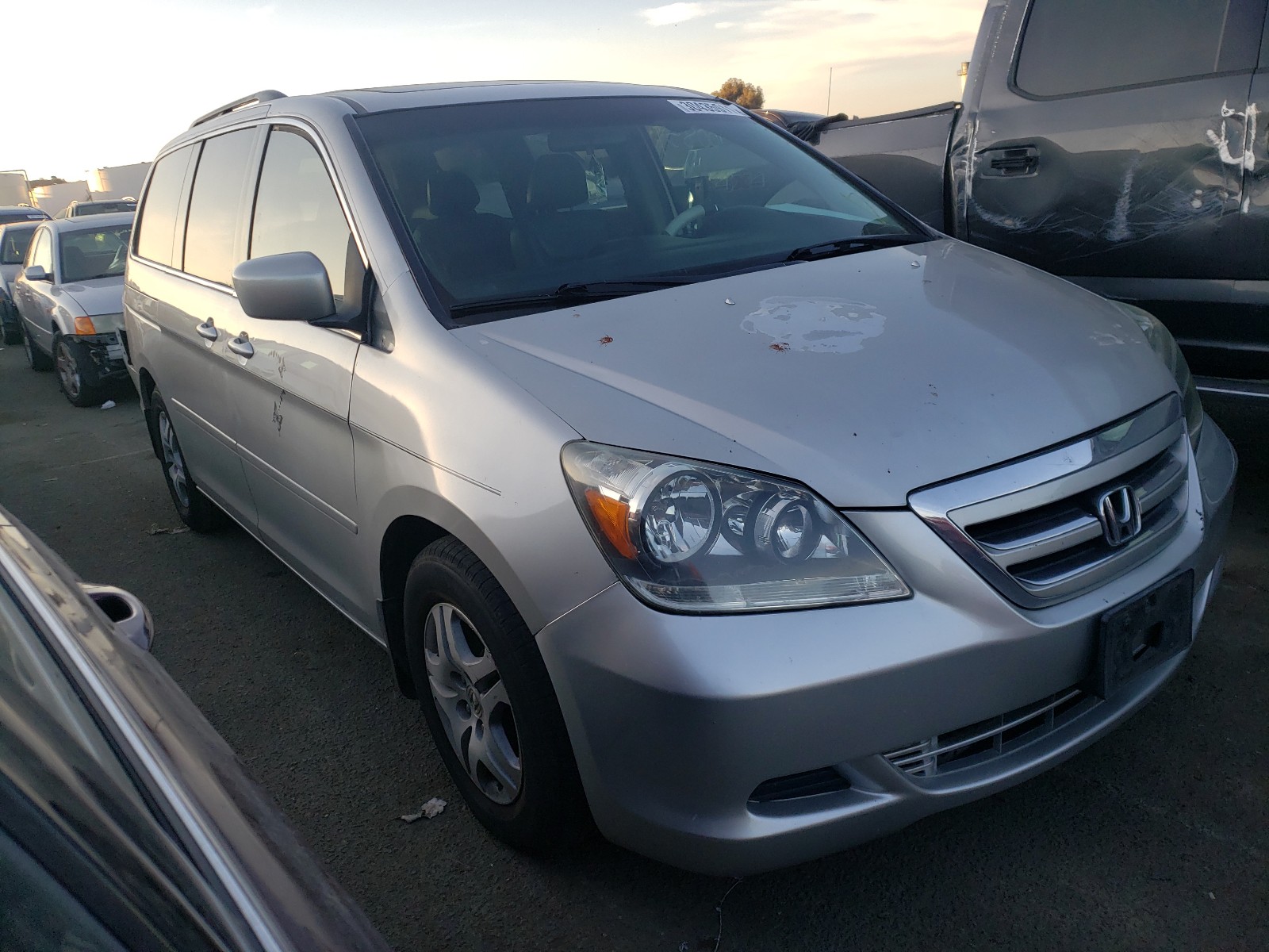 honda odyssey ex 2006 5fnrl38656b452903