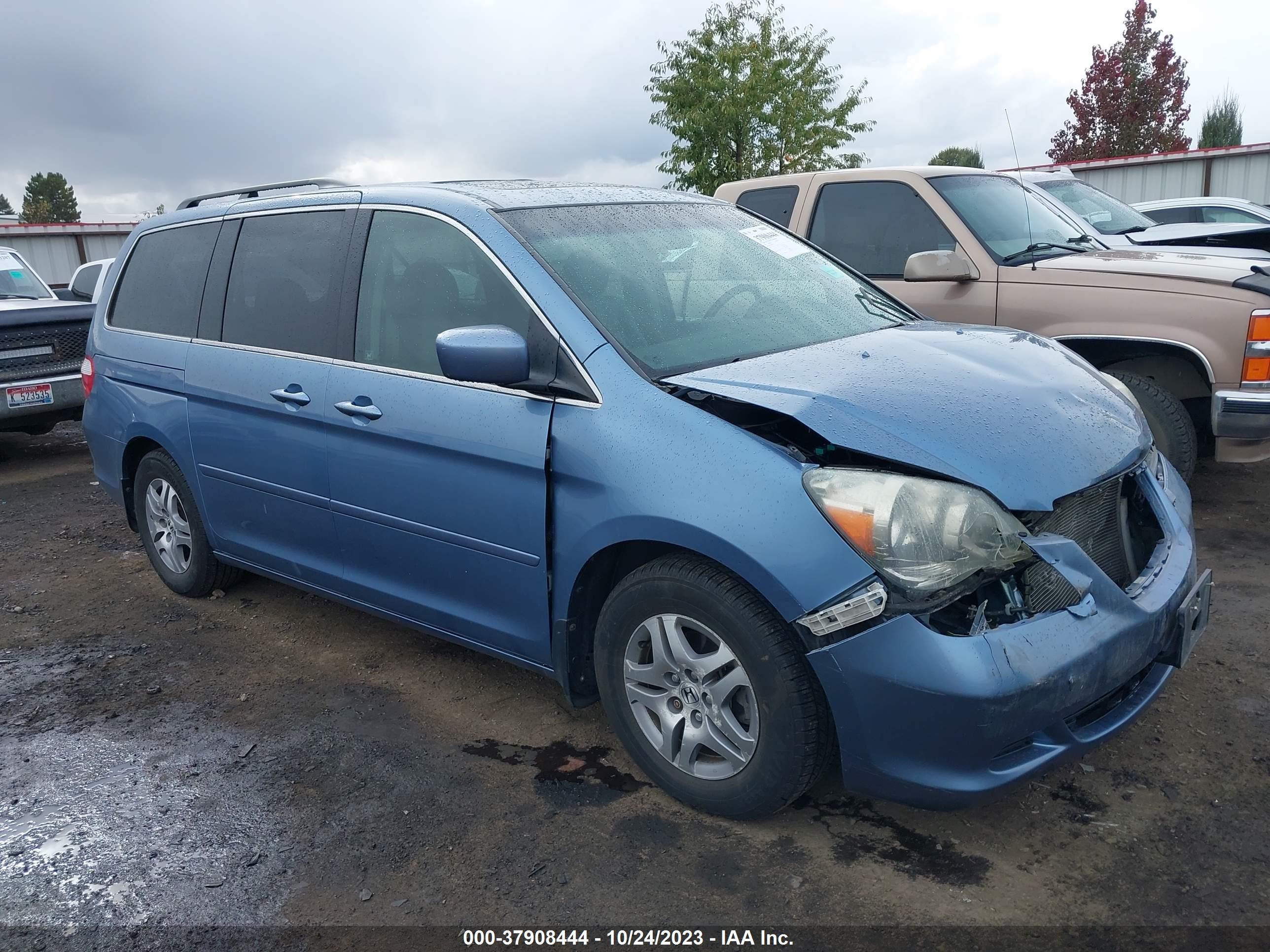 honda odyssey 2006 5fnrl38666b007554