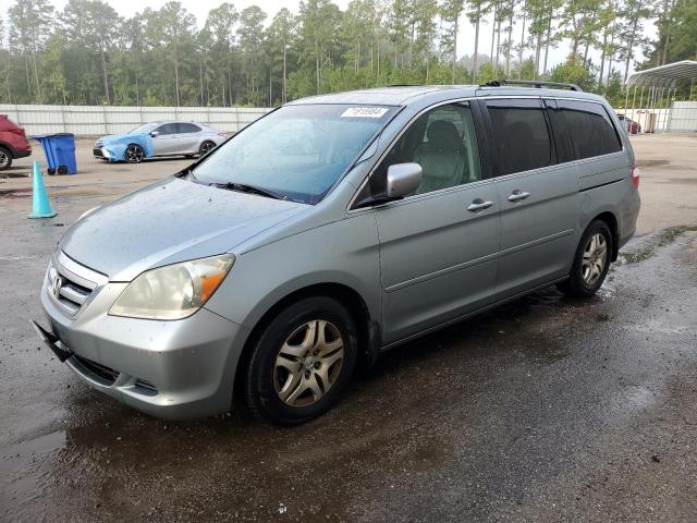 honda odyssey ex 2005 5fnrl38675b067373