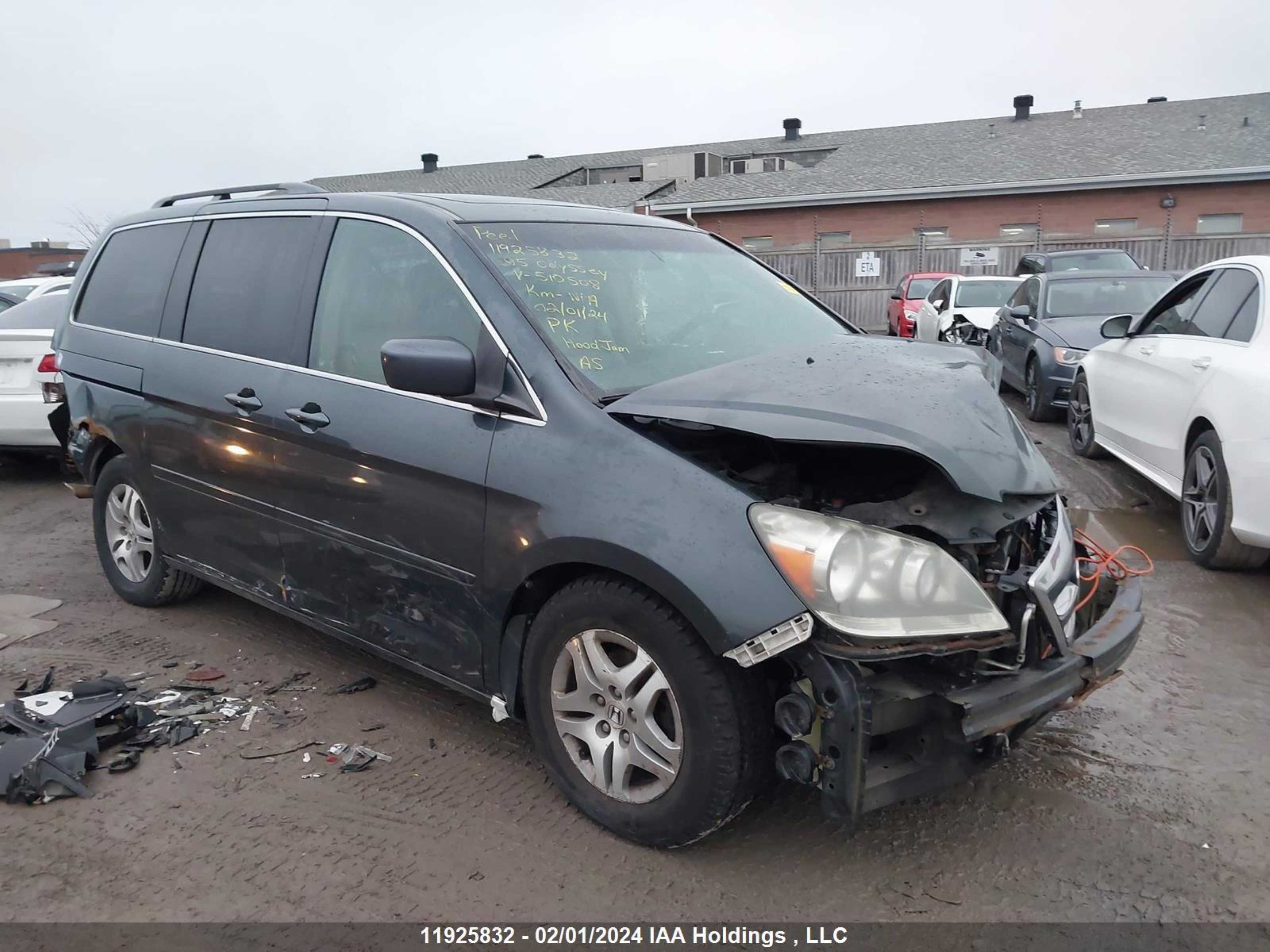 honda odyssey 2005 5fnrl38675b510508