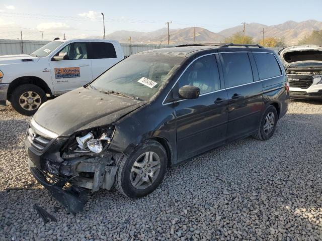 honda odyssey ex 2005 5fnrl38685b029229