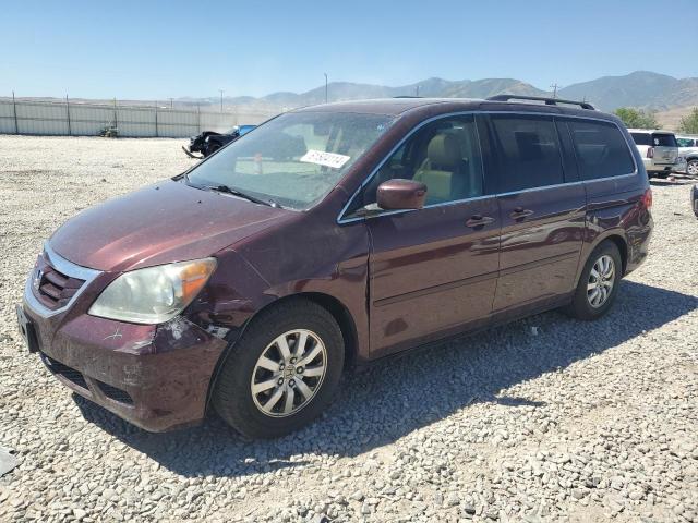 honda odyssey ex 2008 5fnrl38688b089080