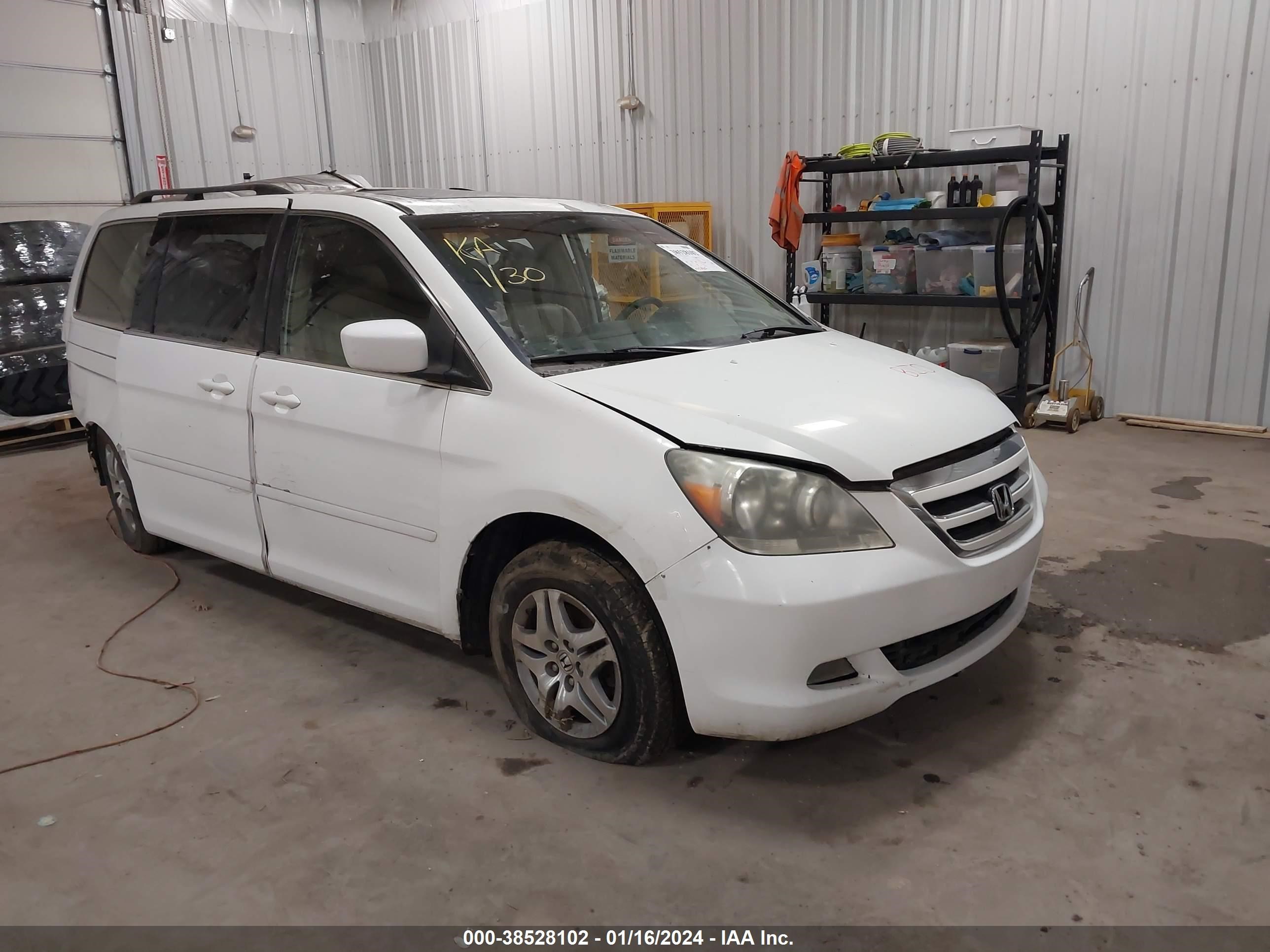 honda odyssey 2005 5fnrl38695b424536