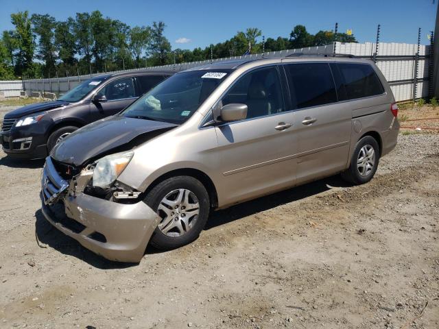 honda odyssey ex 2006 5fnrl38696b401579