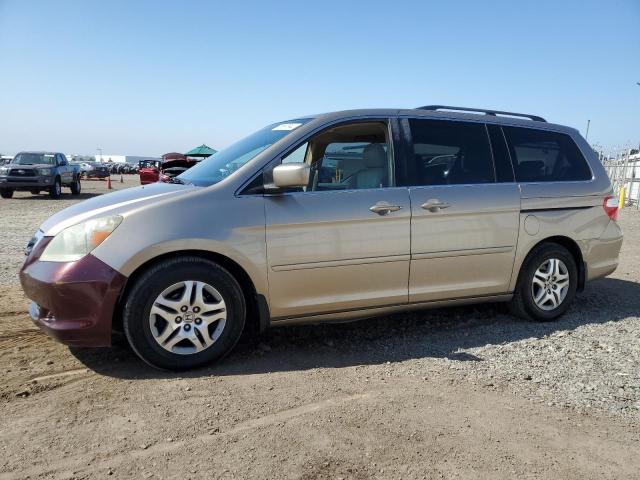 honda odyssey ex 2006 5fnrl38696b419564