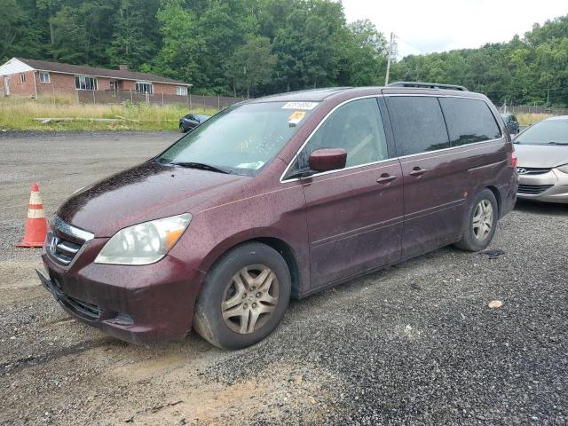 honda odyssey ex 2007 5fnrl38697b436155